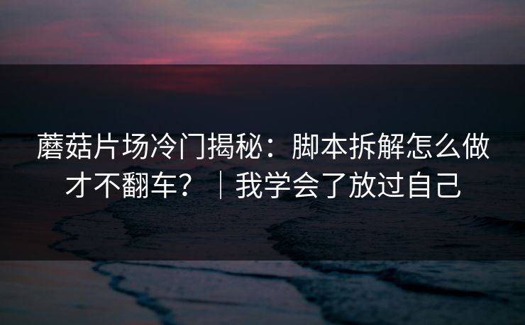 蘑菇片场冷门揭秘：脚本拆解怎么做才不翻车？｜我学会了放过自己