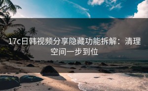 17c日韩视频分享隐藏功能拆解：清理空间一步到位
