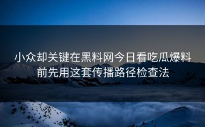 小众却关键在黑料网今日看吃瓜爆料前先用这套传播路径检查法