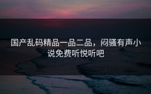 国产乱码精品一品二品，闷骚有声小说免费听悦听吧