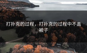 打扑克的过程，打扑克的过程中不盖被子