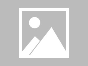 别再猜了，结论很简单：你在51网网址花了很多时间却没效果？先看多端适配（一条讲透）