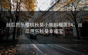 丝瓜芭乐樱桃秋葵小蝌蚪榴莲84，丝瓜芭乐秋葵幸福宝