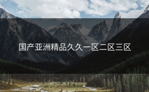 国产亚洲精品久久一区二区三区