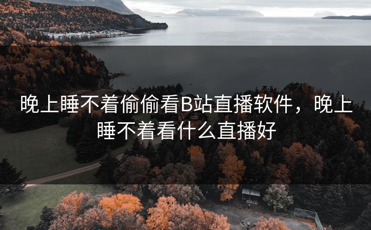晚上睡不着偷偷看B站直播软件，晚上睡不着看什么直播好