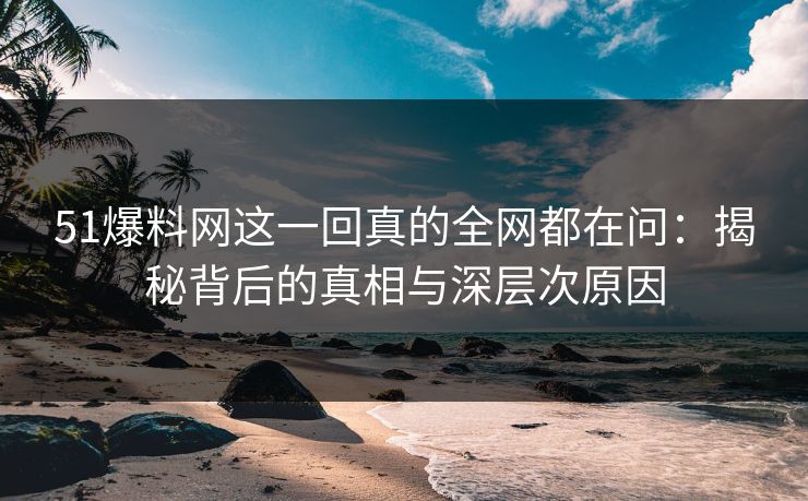 51爆料网这一回真的全网都在问：揭秘背后的真相与深层次原因